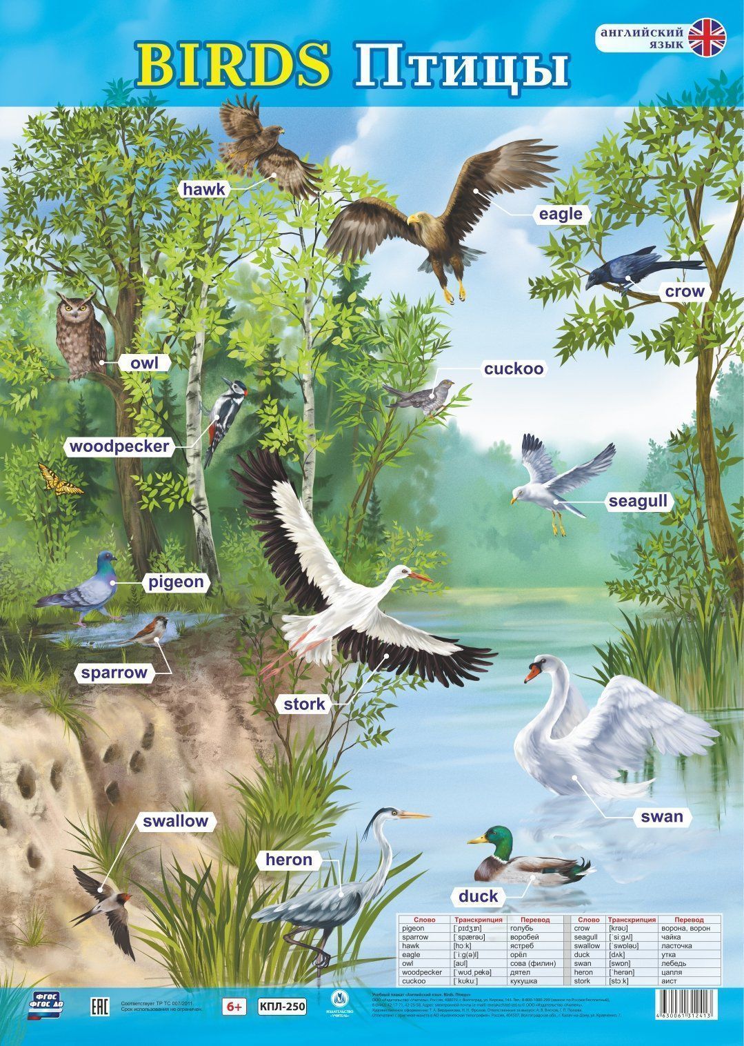 

Учебный плакат. Английский язык. Birds. Птицы: Формат А2