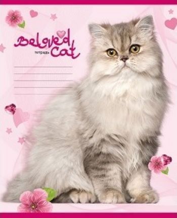 

Тетрадь "Большие кошки", клетка, 12 л.