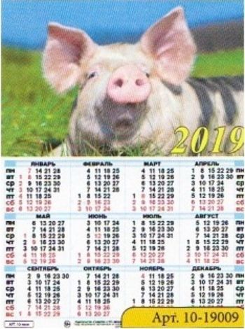 Календарь настенный листовой Символ года 1 2019