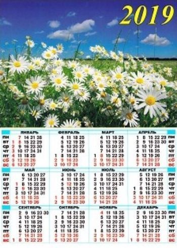 Календарь настенный листовой Ромашки 2019