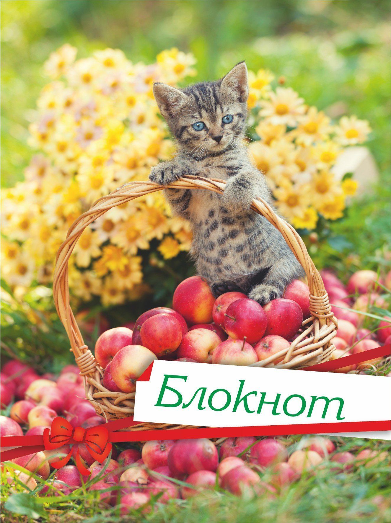 

Блокнот (с изображением кошки)