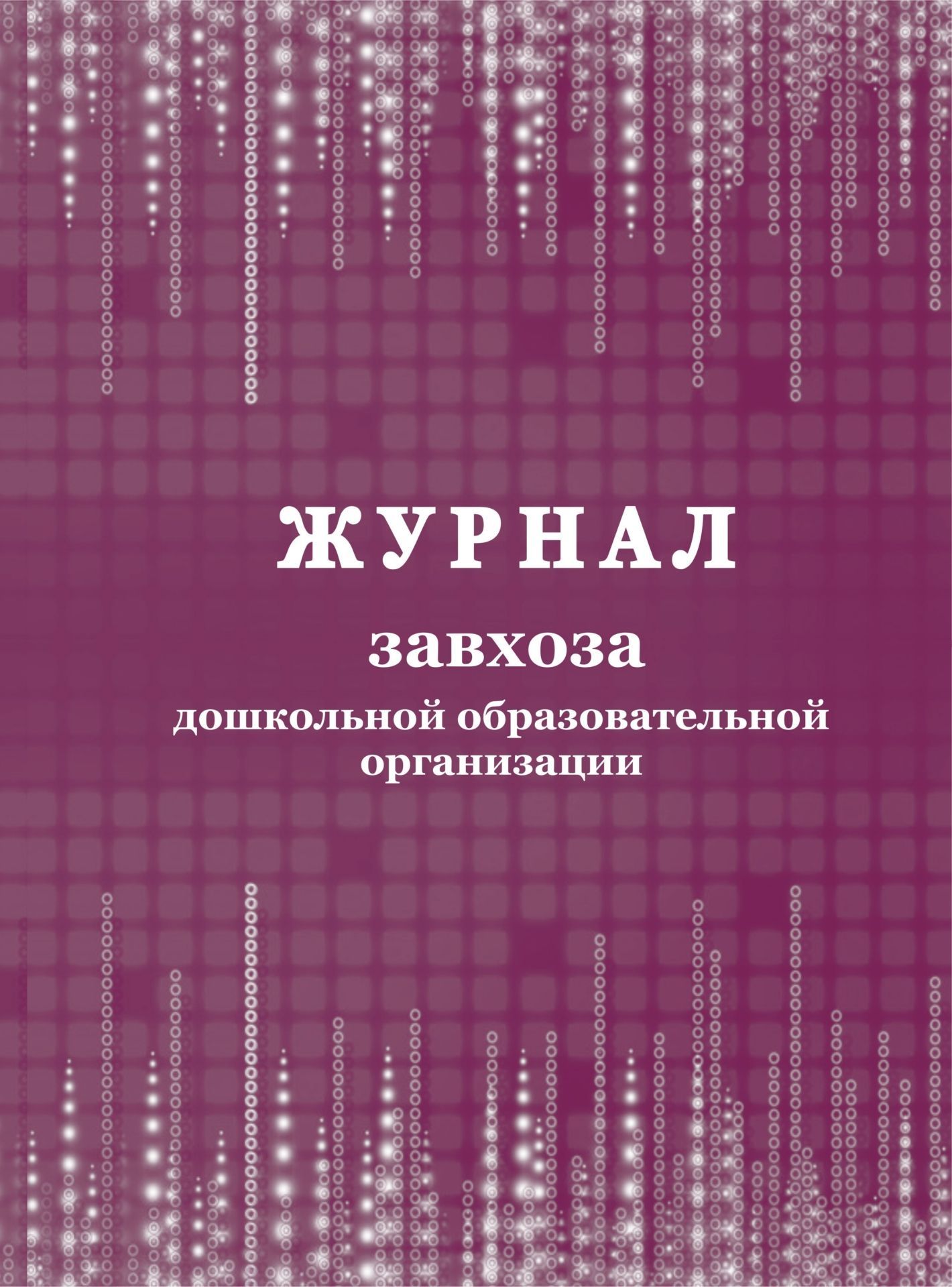 

Журнал завхоза дошкольной образовательной организации