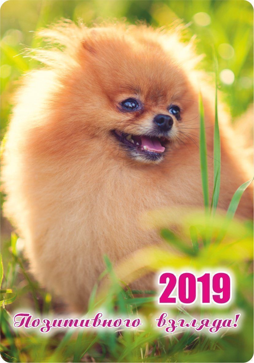 

Карманный календарь с подставкой "Позитивного взгляда!" 2019г.