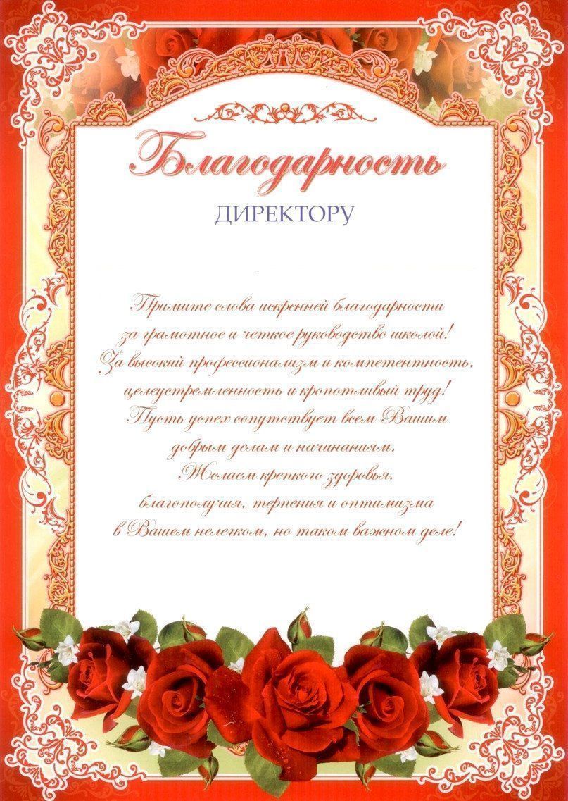 

Благодарность директору