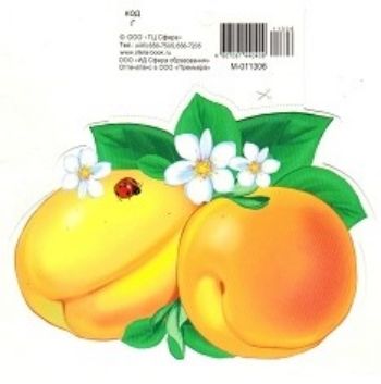 

Открытка-мини "Абрикос"