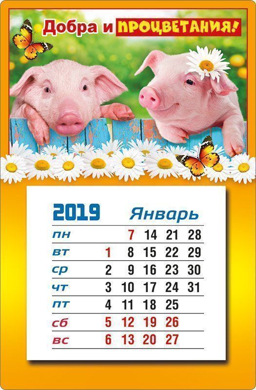 

Календарь магнитный "Добра и процветания!" 2019