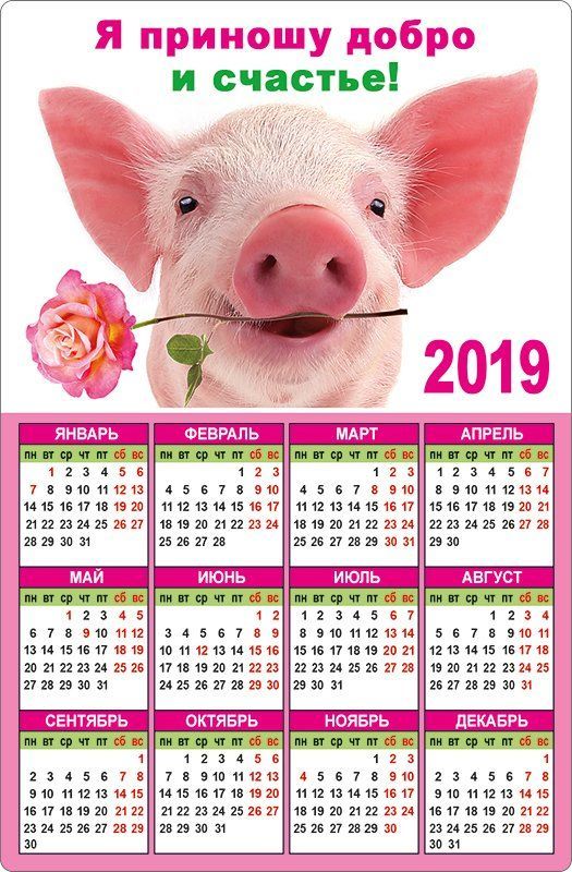 

Календарь магнитный "Я приношу добро и счастье!" 2019