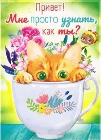 

Открытка "Привет. Мне просто узнать, как ты"