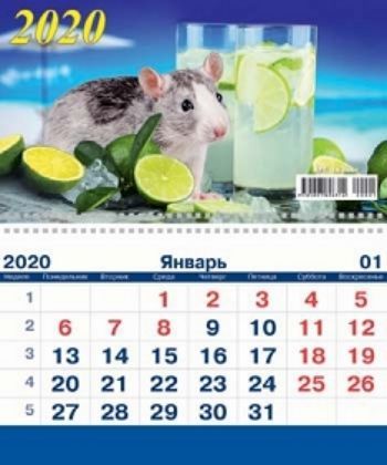 

Календарь настенный на спирали "Символ года" 2020