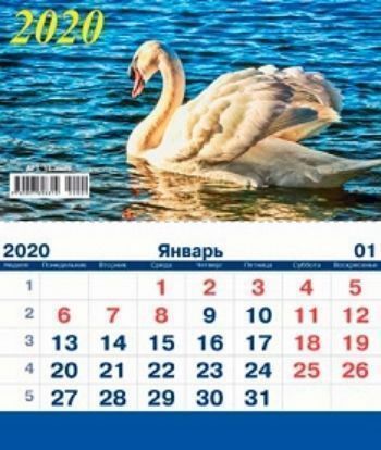 

Календарь настенный на спирали с курсором "Лебедь" 2020