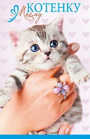 Новым годом, моему котенку открытка