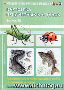 Картотека предметных картинок. Наглядный дидактический материал. Выпуск 10. Аквариумные и пресноводные рыбы. Насекомые и пауки — интернет-магазин УчМаг