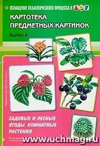 Картотека предметных картинок. Садовые и лесные ягоды. Комнатные растения. Выпуск 6 — интернет-магазин УчМаг