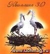 Квиллинг 3D: магия волшебных завитков