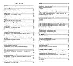 Диктанты. Русский язык. 2 класс — интернет-магазин УчМаг