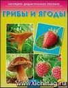 Грибы и ягоды. Наглядно-дидактическое пособие