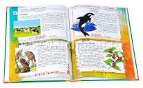 Большой энциклопедический словарь живой природы для детей — интернет-магазин УчМаг