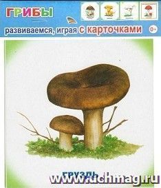 Грибы. Обучающие карточки — интернет-магазин УчМаг