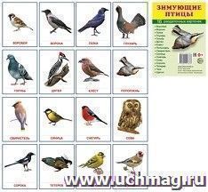 Зимующие птицы. Раздаточные карточки — интернет-магазин УчМаг