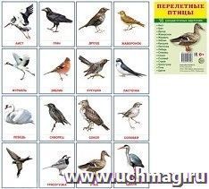 Перелетные птицы. Раздаточные карточки — интернет-магазин УчМаг