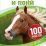 Лошади и пони. 100 фактов — интернет-магазин УчМаг