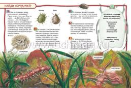 Насекомые. 100 фактов — интернет-магазин УчМаг