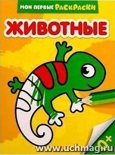 УчМаг