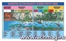 УчМаг