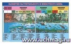 Плакат виниловый "Развитие растительного и животного мира" — интернет-магазин УчМаг