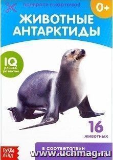 УчМаг