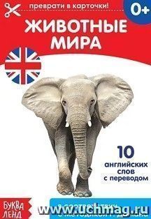 УчМаг