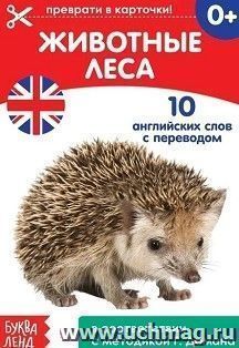 УчМаг