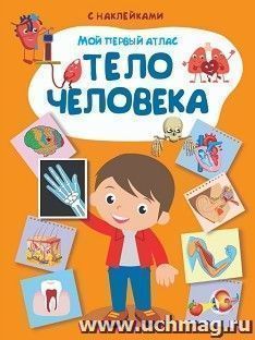 Тело человека. Мой первый атлас, с наклейками — интернет-магазин УчМаг