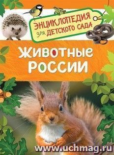 Животные России. Энциклопедия для детского сада — интернет-магазин УчМаг