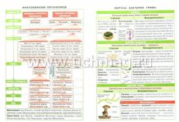 Справочник в таблицах. Биология. 7-11 классы — интернет-магазин УчМаг