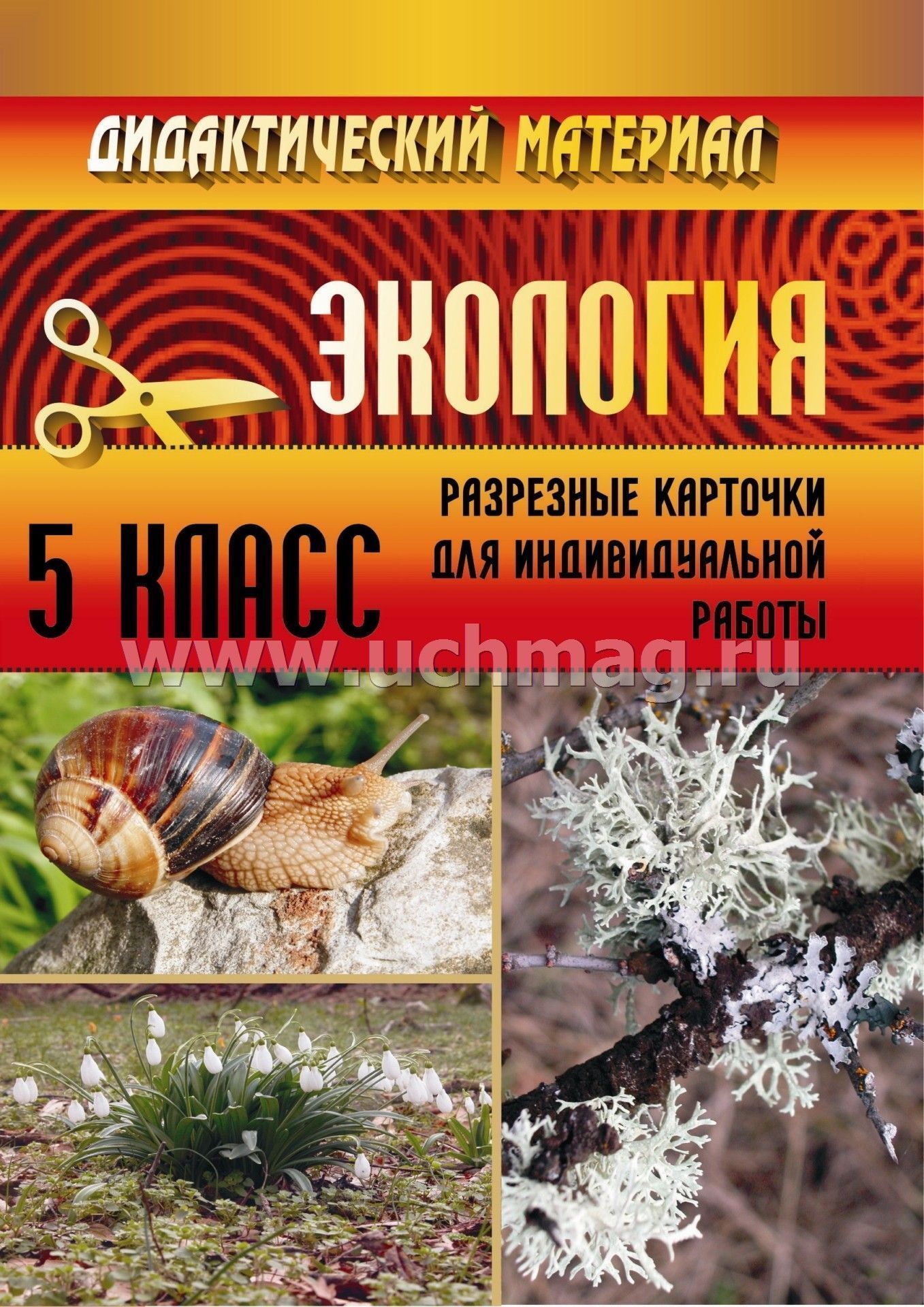 планирование по экологии 5 класс по учебнику никишова