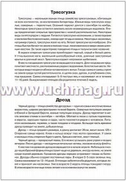 Мир в картинках. Птицы перелетные — интернет-магазин УчМаг