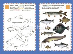 Мир рыб в заданиях и играх: из серии "Ознакомление с окружающим миром". Для детей 5-7 лет — интернет-магазин УчМаг