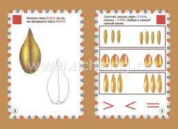 Мир злаков в заданиях и играх: из серии "Ознакомление с окружающим миром". Для детей 5-7 лет — интернет-магазин УчМаг
