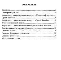 Игровые здоровьесберегающие технологии в ДОО в условиях сенсорной комнаты: сказкотерапия. Игровые сеансы — интернет-магазин УчМаг