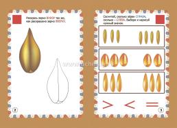 Мир злаков. Познавательные комплексные занятия. Развивающие задания и игры. Анимационные музыкальные видеодемонстрации. Обучающие речевые диалоги. От 4 до 8 лет — интернет-магазин УчМаг
