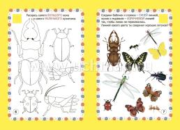 Мир насекомых. Познавательные комплексные занятия. Развивающие задания и игры. Анимационные музыкальные видеодемонстрации. Обучающие речевые диалоги. От 4 до 8 — интернет-магазин УчМаг