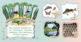 Рыбы и другие обитатели рек: литературно-художественное издание для чтения родителями детям — интернет-магазин УчМаг