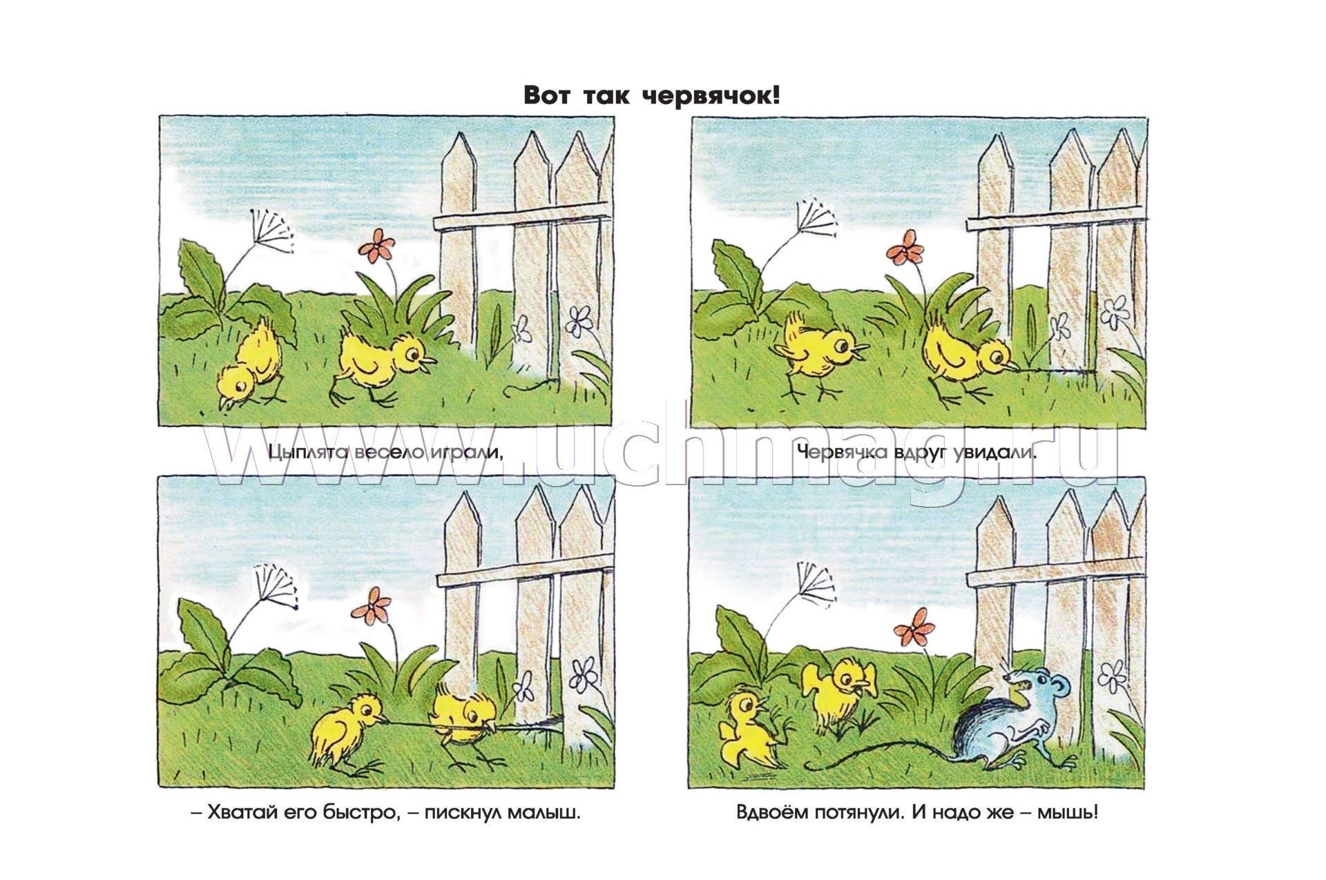 Книга рассказы в картинках