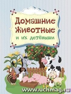 Домашние животные и их детёныши