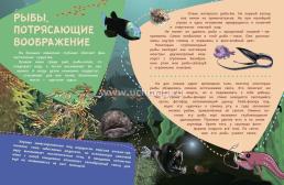 Подводные тайны: Удивительные жители морей, основы водной жизни, загадки океанских глубин (100 наклеек) — интернет-магазин УчМаг