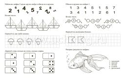 Обучающие прописи. Математика. 5-6 лет — интернет-магазин УчМаг