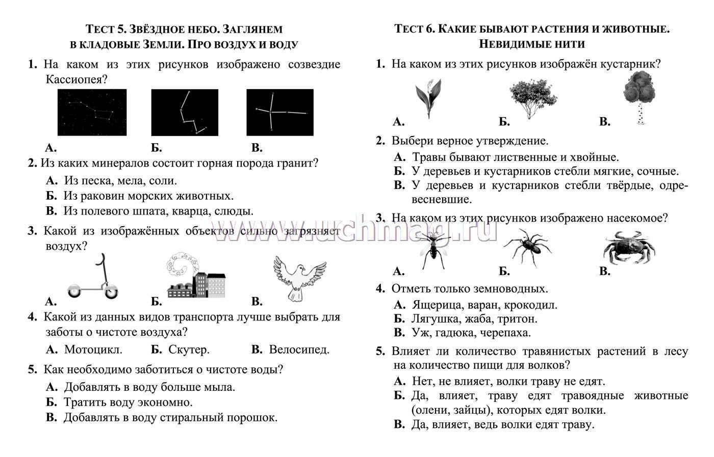 Сочинение Про Небо 2 Класс Окружающий Мир Сочинение Про Небо 2 Класс Окружающий Мир