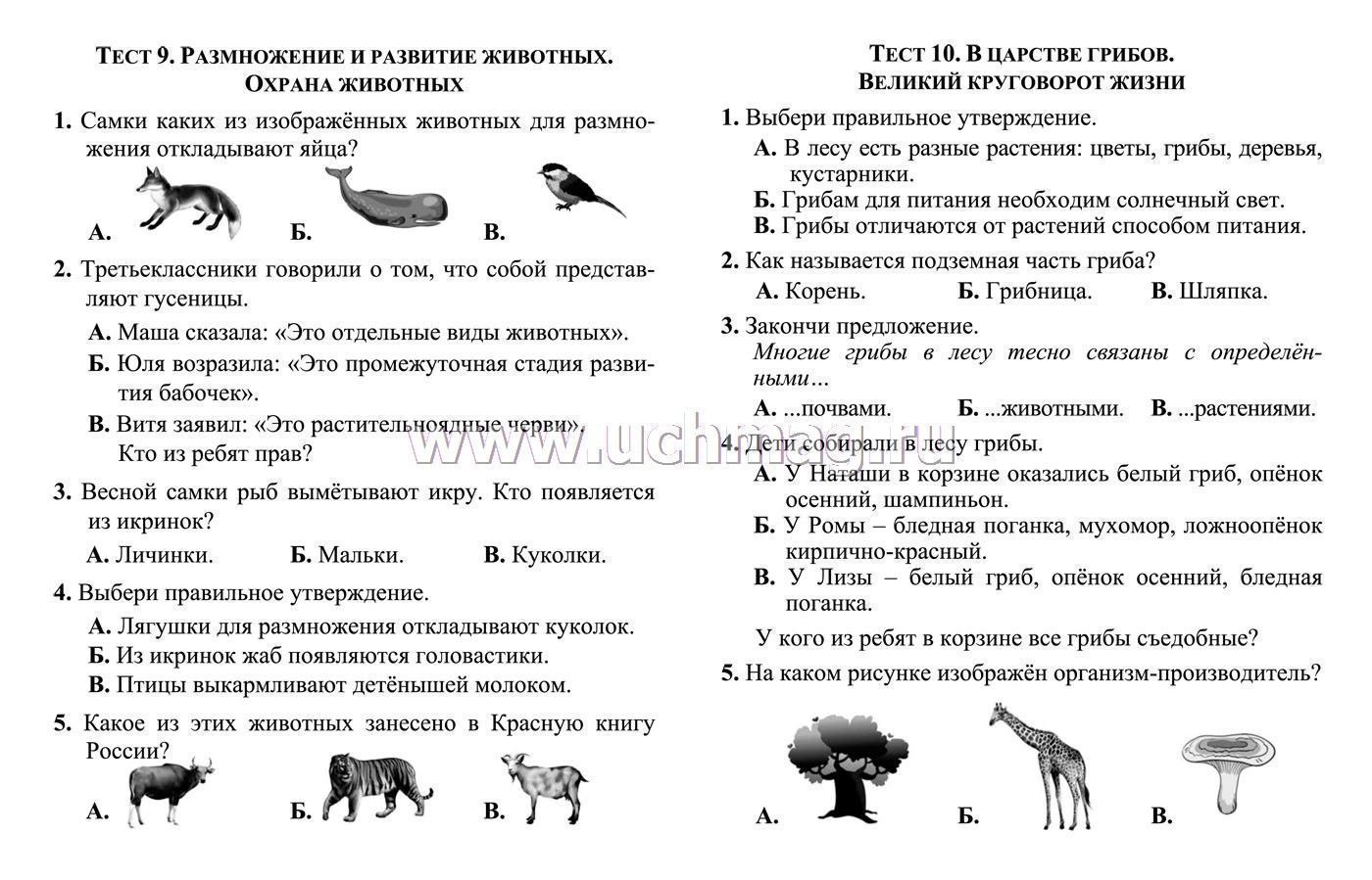 Тесты. Окружающий мир. 3 класс: Природа и человек. Прописи – купить по  цене: 27 руб. в интернет-магазине УчМаг