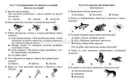 Тесты. Окружающий мир. 3 класс: Природа и человек. Прописи — интернет-магазин УчМаг